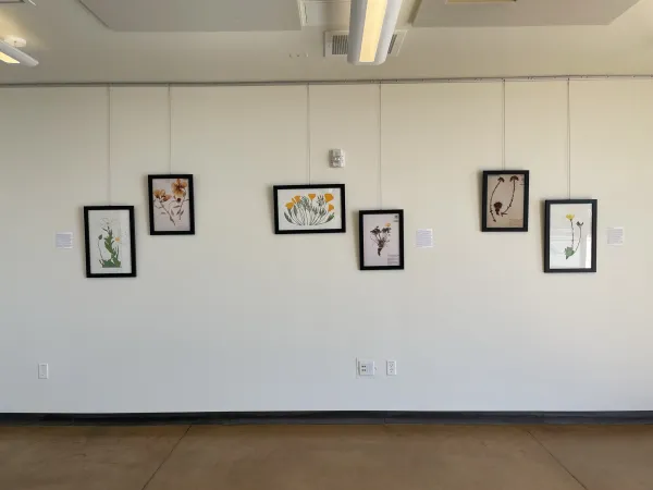 TEST Henry Evans Exhibit