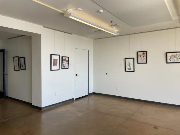 TEST Henry Evans Exhibit