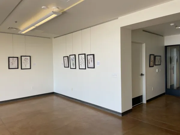 TEST Henry Evans Exhibit