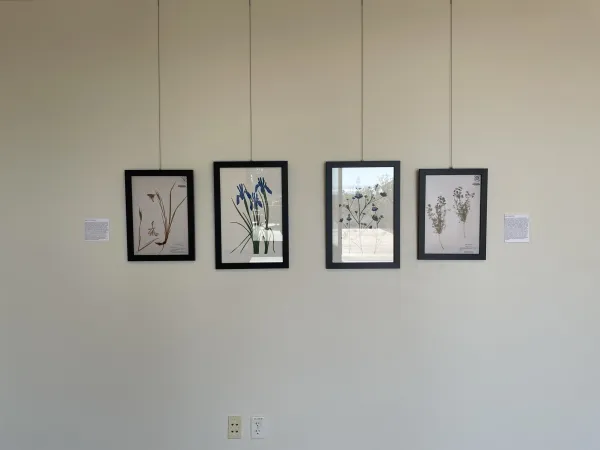 TEST Henry Evans Exhibit