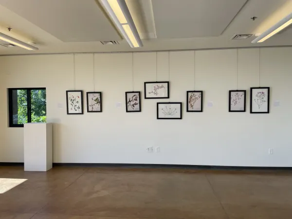 TEST Henry Evans Exhibit