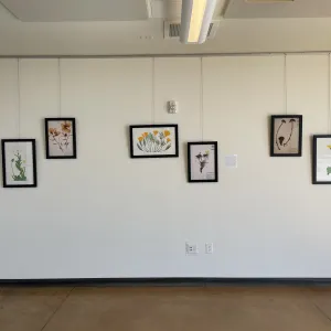 TEST Henry Evans Exhibit