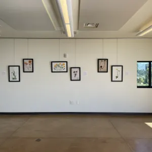 TEST Henry Evans Exhibit