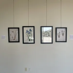 TEST Henry Evans Exhibit