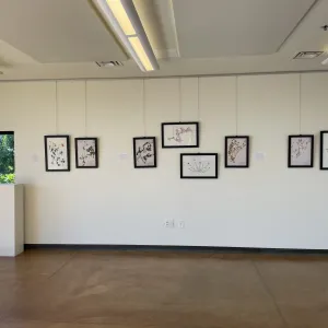 TEST Henry Evans Exhibit